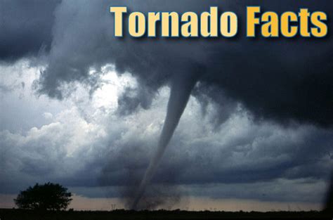 wildtornado|tornado videos for kids.